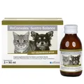 Alfavet ReConvales Gastro Balance 3x90 ml | Hunde | Katzen | Magen/Darm