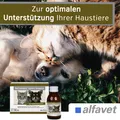 ReConvales Gastro Balance 3x90 ml Katze & Hund Alfavet