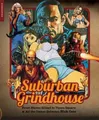 Nick Cato Suburban Grindhouse (Taschenbuch)