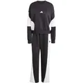 ADIDAS Herren Sportanzug Laziday