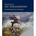 Theodor Storm: Der Schimmelreiter. - - Eine kommentierte Leseausgabe