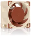 Noctua NF-A4X20 FLX PC-Gehäuse-Lüfter Beige, Braun (B x H x T) 40 x 20 x 40mm