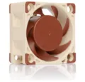 Noctua Gehäuselüfter PC-Gehäuse-Lüfter Beige, Braun (B x H x T) 40 x 20 x 40 mm