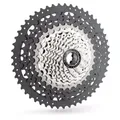 Miche Zahnkranz-Kassette "XM 12", 12-fach, 11-51 Zähne, Shimano/SRAM, silber/sch