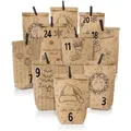 Nordstern Adventskalender zum Befüllen - Geschenktüten Set mit 24 Tüten, Mini Klammern und Zahlen Aufklebern zum Basteln für Kinder, Frau und Mann