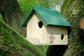 Eichhörnchenkobel 3 Eingänge Eichhörnchennest Überwinterungsstation Holz Grün