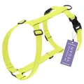 STUCH Hundegeschirr H-Form Vegan PureControl leicht & verstellbar – 100% Vegan, PETA Zertifiziert – minimalistisches Nylon Hundegeschirr – Farbe:Lime, Größe:S