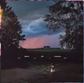 BALANCE AND COMPOSUR - WITH YOU IN SPIRIT PINK VINYL - Vinyl Record - G1398z