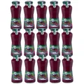 Güldenkron Smoothie Rot Fruchtsaft Püree und Konzentrat 15x200ml