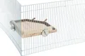 Vogelkäfig Zubehör Landeplatz Holz 19x19 cm TRIXIE Sitzstangen 51698