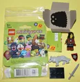 Lego Minifiguren / Minifigures  Serie 27 (71048)