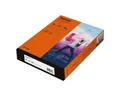 Inapa tecno Druckerpapier Rainbow / tecno Colors, Intensivfarben, Format DIN A4, 80 g/m², 500 Blatt