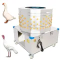 Geflügelrupfmaschine Rupfmaschine Nassrupfmaschine für Gänse u. Puten Beeketal