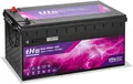tH Energy tHE Bat Pro 410 Lithium-Batterie LiFePO4, 10,5-14,6V, 410Ah