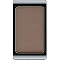 Eye Brow Powder