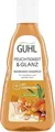 Guhl Feuchtigkeitsaufbau Shampoo 250 ml