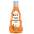 Guhl Feuchtigkeitsaufbau Shampoo 250 ml