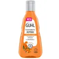 250ml Guhl Feuchtigkeitsaufbau Shampoo trockenes und sprödes Haar