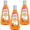 3x 250ml Guhl Feuchtigkeitsaufbau Shampoo trockenes und sprödes Haar