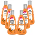 6x 250ml Guhl Feuchtigkeitsaufbau Shampoo trockenes und spödes Haar Hyaluron