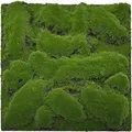Jangal Wandpaneel Modular Wall Forest Green Big Bulk Moos 52 x 52 cm