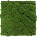 Jangal Akustikpaneel Modular Wall System Design Moos, Hellgrün, Naturmaterialien, 52x52x2.6 cm, Handmade Quality, Montage ohne Bohren, Tapeten & Wandverkleidungen, Akustikpaneele