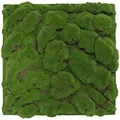 Jangal - Modular Wall Akustik 3d Paneele 520 X 520 Mm Forest Green Big Bulk Design Moos Kunst Pflanzwand Moospaneele