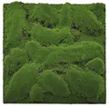 JANGAL Modular Wall Pflanzenwand  520 x 520 mm Design Moos Forest Green Big Bulk