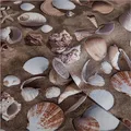 d-c-fix Möbel-Klebefolie Venus, 45 cm x 1,5 m - abwaschbare und selbstklebende Deko-Folie für Küche, Schrank, Tisch & Fensterbank - modern & nachhaltig