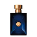 Versace Dylan Blue Eau de Toilette 100 ml