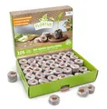FLORTUS BIO Kokos Quelltöpfe | 105 Stück (36 mm) mit organischem BIO Dünger | Anzuchterde Kokos torffrei & biologisch abbaubar | Alternative zu Quelltabletten | Anzucht für Samen & Stecklinge
