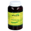 Cordyceps Cs-4 Extrakt Kapseln 120 St