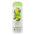 Alverde Bodylotion Pflegedusche Bio-Minze-Bergamotte 250ml