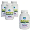 Weihrauch Boswellia Serrata 720 Kapseln Ohne Zusatzstoffe Natur Pur. 26397-720
