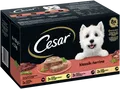 CESAR® Schale Multipack Klassiker Selektion 8 x 150g