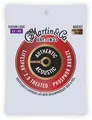 Authentic Acoustic Lifespan 2.0 Guitar Strings Phosphor Bronze Custom Light .011