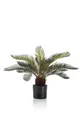 Kunstpalme Cycas Kunstpalme NEREO, 55cm Cycas, artplants, Höhe 55.0 cm