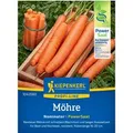 Kiepenkerl Möhren Nominator (Daucus carota)
