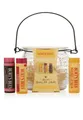 BURT'S BEES Lippenbalsam 500578, Burt's Balm Jar Beewax Pomgranate Hibiscus