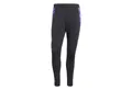 adidas Performance Trainingshose adidas Herren DFB Trainingshose EM 2024