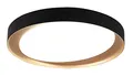 Reality Leuchten LED Deckenleuchte Zeta R62712402, Kunststoff schwarz oder goldfarbig, inkl. 24 Watt LED, Fernbedienung