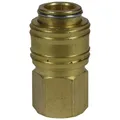 EINHELL Schnellkupplung, Metall, Innengewinde: 1/4"