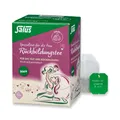SALUS Rückbildungstee Bio Filterbeutel 15 St.