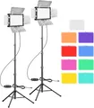 Upgraded 2 Packs LED Video Licht, EMART Dimmbare Videoleuchte mit Barndoor und 9 Farbfiltern, 5500K 66 LED Fotografie Beleuchtung für Videoaufnahme, Streaming, YouTube, Fotostudios, Shooting