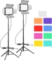 LED Videoleuchte 2 Stück 9 Farbfilter 5500K 66 LED