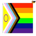 Progress Pride Flag 150x90cm Regenbogenflagge LGBTQ 2 Messingösen