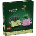 LEGO Schaukelnde Pflanzen (LEGO Botanicals) (11506)