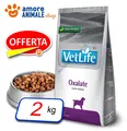 Farmina Hund Tierarzt Life Natural Diet → Oxalate - 2 KG - Futter Hund, Hunde