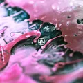 Linkin Park From Zero (CD) Album