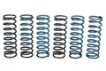 Für TRW MEF313-6 Clutch springs set fits BMW 650GS, 650GS ABS, 650GS ABS (Dak.)